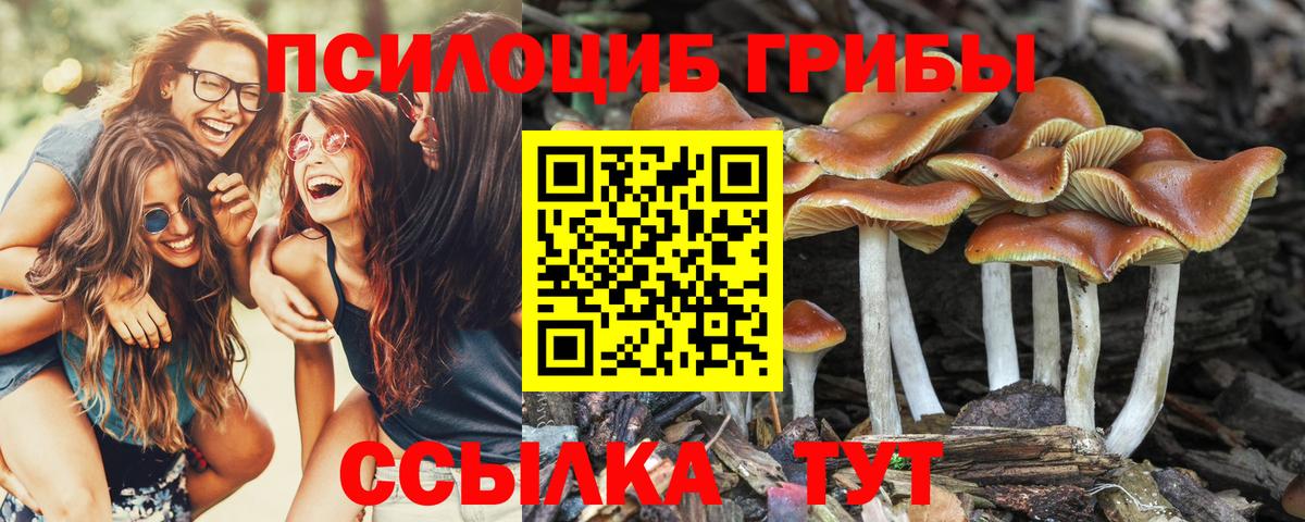 Псилоцибиновые грибы мухоморы Ангарск