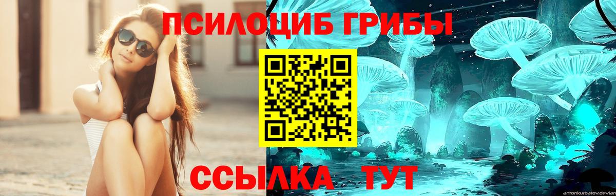 Ангарск  Галлюциногенные грибы Cubensis  Вход с VPN 